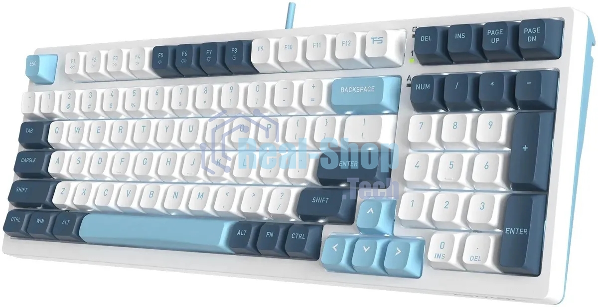 Клавиатура проводная A4Tech Fstyler FS300 (FS300 PANDA SNOWBOARDING), USB, белый/синий
