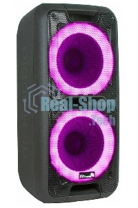 Колонка Eltronic 10