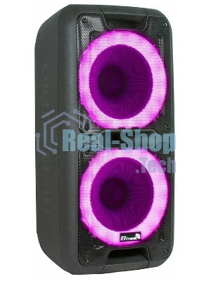 Колонка Eltronic 10