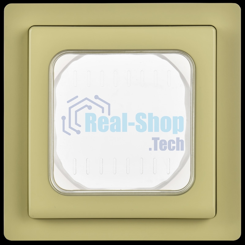 Рамка 1-местная IP55 Рпро-1-55-ФлО оливковый FLITE