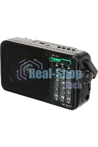 Радиоприемник портативный Сигнал РП-233BT черный USB microSD