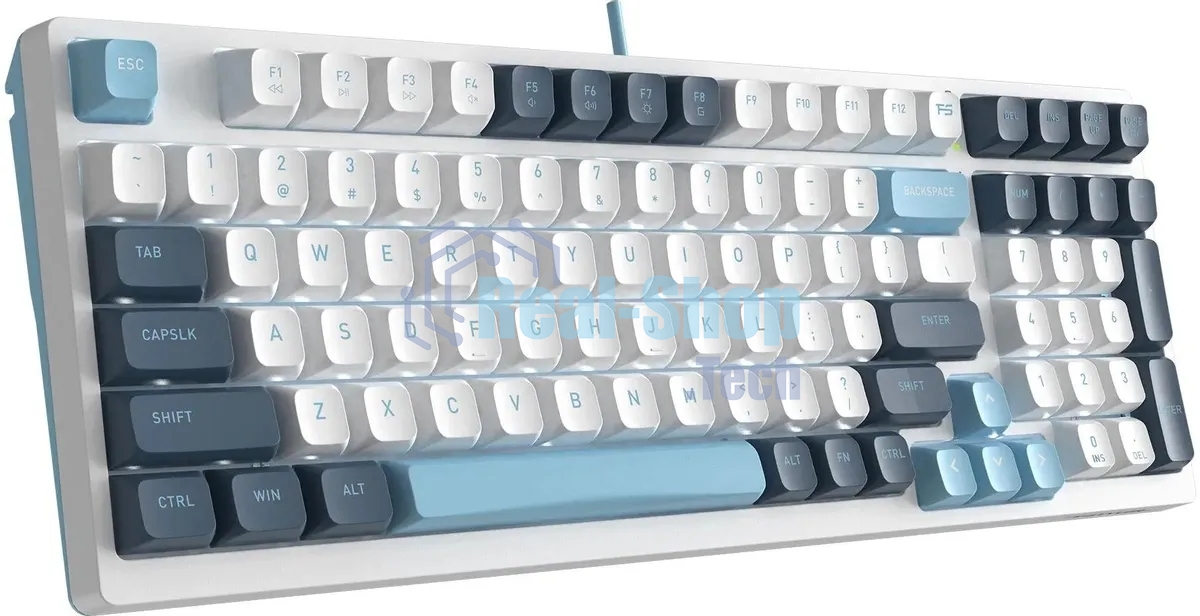 Клавиатура проводная A4Tech Fstyler FS300 (FS300 PANDA SNOWBOARDING), USB, белый/синий