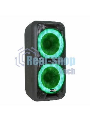 Колонка Eltronic 10