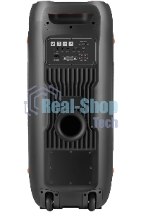 Портативная колонка Defender Boomer 200