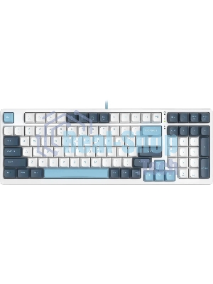 Клавиатура проводная A4Tech Fstyler FS300 (FS300 PANDA SNOWBOARDING), USB, белый/синий