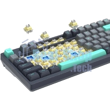 Клавиатура проводная A4Tech Fstyler FS300 механическая черный/серый USB for gamer LED (FS300 PANDA ROCK)