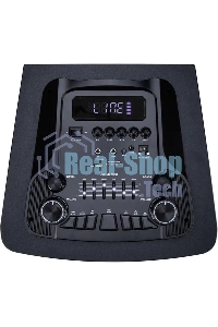 Колонка Eltronic 12