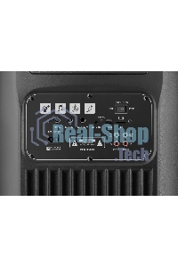 Портативная колонка Defender Boomer 200