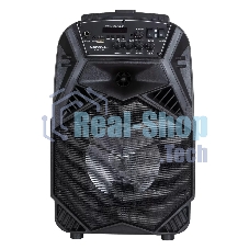 Аудиосистема NATIONAL NSM-V100