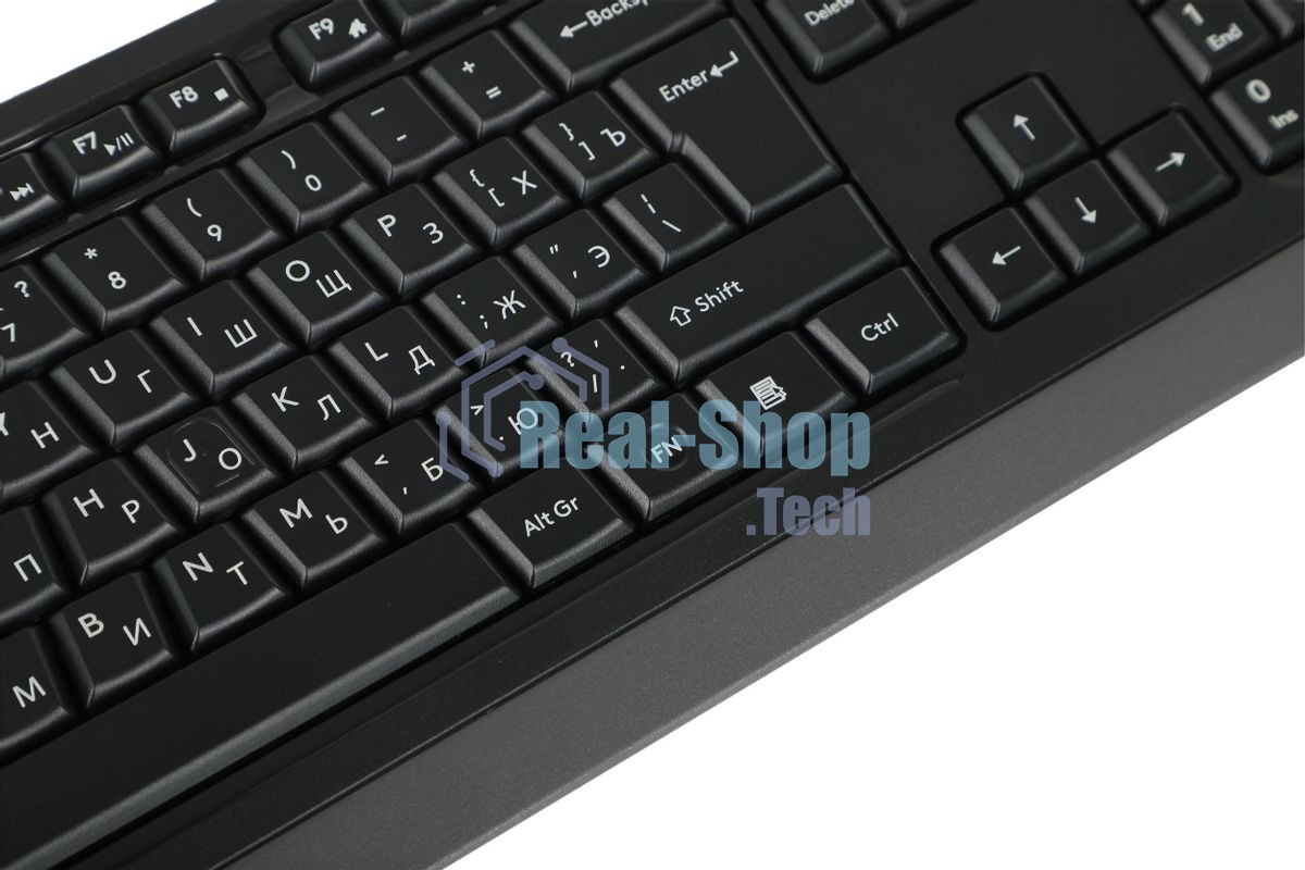 Клавиатура проводная A4Tech Fstyler FKS10, USB, черный/серый