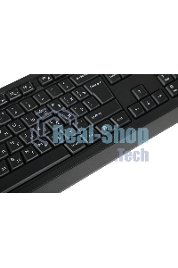 Клавиатура проводная A4Tech Fstyler FKS10, USB, черный/серый