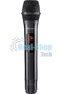 Портативная колонка Defender Boomer 200