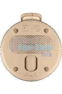 Портативная колонка BBK BTA1110 золотистый 10W 2.0 BT 10м 1800mAh