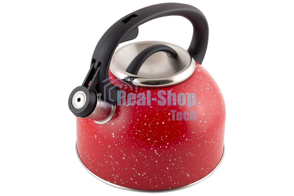 Чайник для плиты из нерж стали со свистком MALLONY 