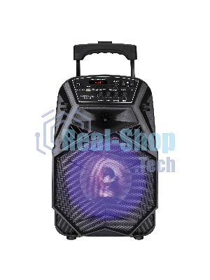 Аудиосистема NATIONAL NSM-V100