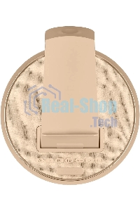 Портативная колонка BBK BTA1110 золотистый 10W 2.0 BT 10м 1800mAh