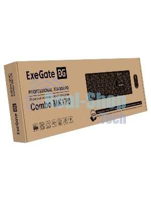 Комплект клавиатура+мышь ExeGate Professional Standard Combo MK170 проводной, USB, 1200 DPI, чёрный