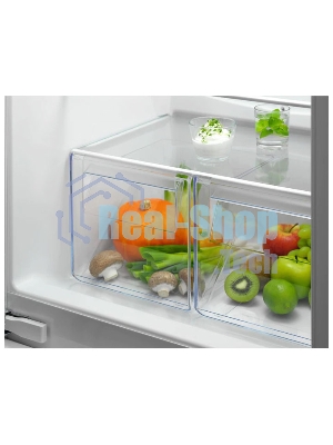 Встраиваемый холодильник Electrolux RNT2LF18S (без No Frost, электронное управление, класс A+, полезный объем: 272 л (195 + 72 л), 54x54.9x177.9 см, белый)