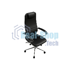Кресло компьютерное ErgoLife Set 17/подл.131/осн.Sit 052, черный 5AD.16.1.2A3 z5AD.16.1.2A3