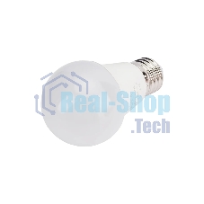 Лампа светодиодная GENERICA LL-A60-10-230-65-E27-G A60 10 Вт, грушевидная, 6500К, E27 230В