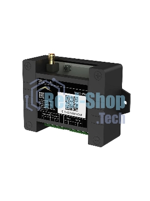 Расширитель радиоканальный RUBETEK РР-02-250