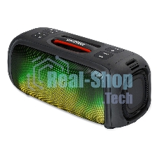 Акустическая система Smartbuy (SBS-5560) EVOLUTION 2, черный