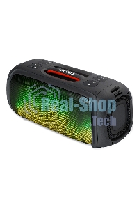 Акустическая система Smartbuy (SBS-5560) EVOLUTION 2, черный