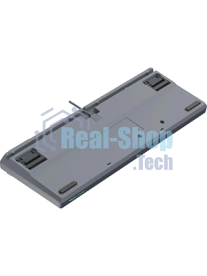 Клавиатура проводная A4Tech Fstyler FS300 механическая черный/серый USB for gamer LED (FS300 PANDA ROCK)