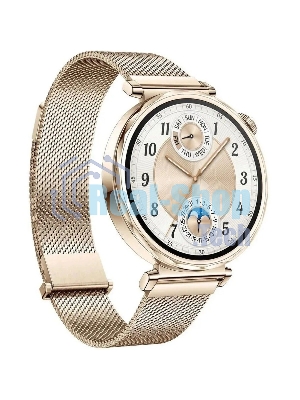 Умные часы Huawei GT 5 JNA-B19, золотые