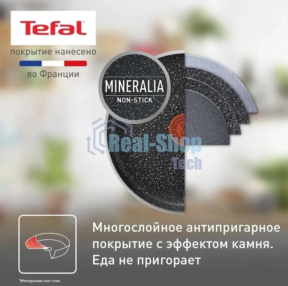 Сковорода блинная Tefal Rock 04235525 круглая 25см покрытие: Mineralia ручка несъемная (без крышки) черный
