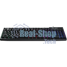 Клавиатура Rapoo V50S проводная, USB Type-A, чёрный