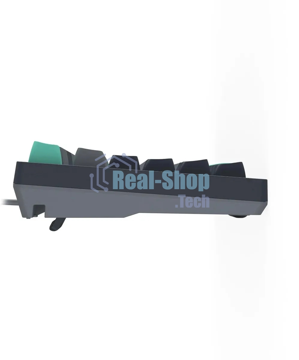 Клавиатура проводная A4Tech Fstyler FS300 механическая черный/серый USB for gamer LED (FS300 PANDA ROCK)