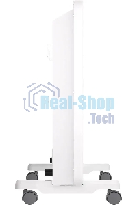 Конвектор Royal Clima MIVENTO Econo REC-MIE2000M 2000Вт белый