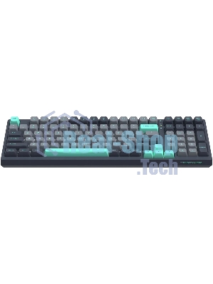 Клавиатура проводная A4Tech Fstyler FS300 механическая черный/серый USB for gamer LED (FS300 PANDA ROCK)