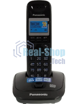 Телефон беспроводной (DECT) Panasonic KX-TG2521RUT (титан) АОН, Caller ID,спикерфон,голосовой АОН,полифония,цифровой автоответчик