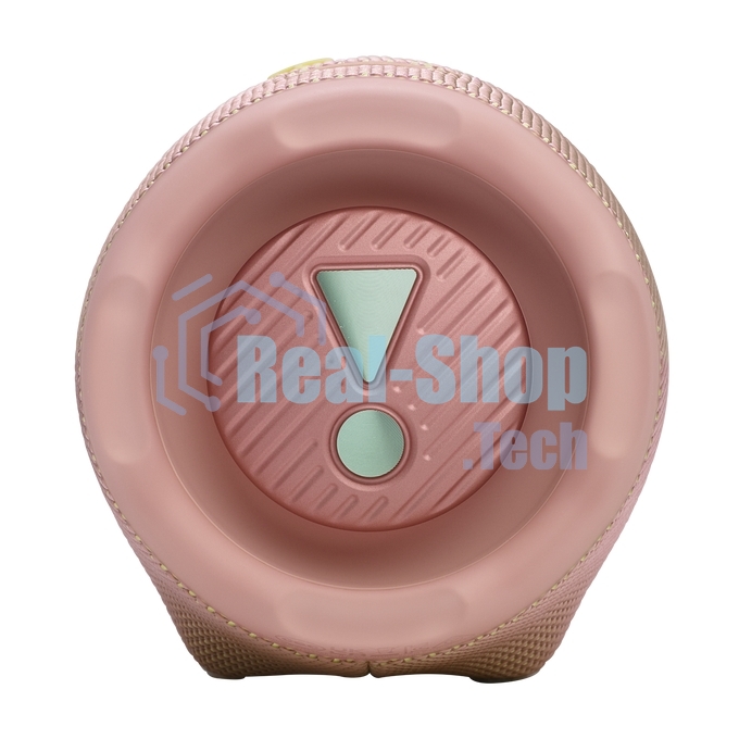 Портативная акустика JBLCHARGE6PINK розовый