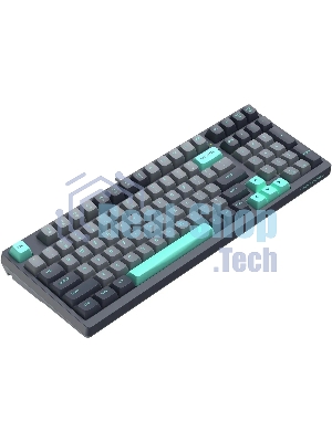 Клавиатура проводная A4Tech Fstyler FS300 механическая черный/серый USB for gamer LED (FS300 PANDA ROCK)