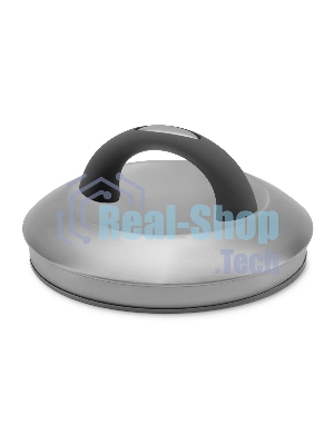 Чайник для плиты Starwind Chef Family 2.8 л, серебристый, металлический (SW-CH1106)