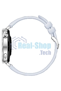 Умные часы Huawei GT 5 JNA-B19 синий