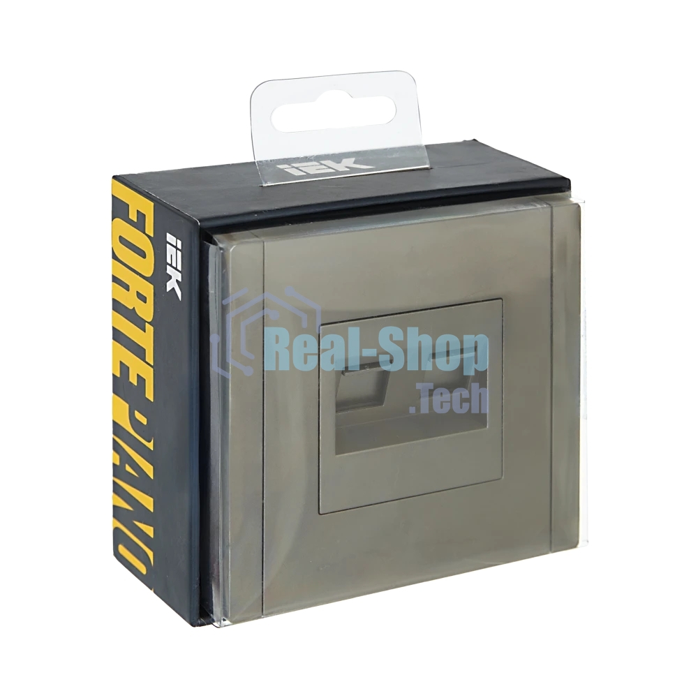 Розетка компьютерная IEK FORTE&PIANO FP534 2-ая RJ45 кат.6 сталь