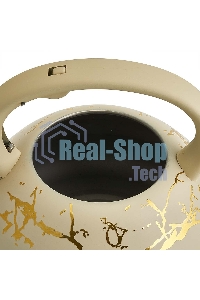 Чайник ALPENKOK AK-541 3 л