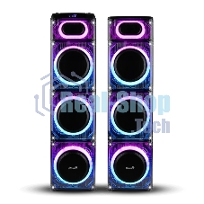 Колонка ELTRONIC 10