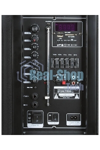 Колонка Eltronic 12