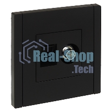 Розетка двойная TV+RJ45 кат.5E IEK FORTE&PIANO FP136 черный