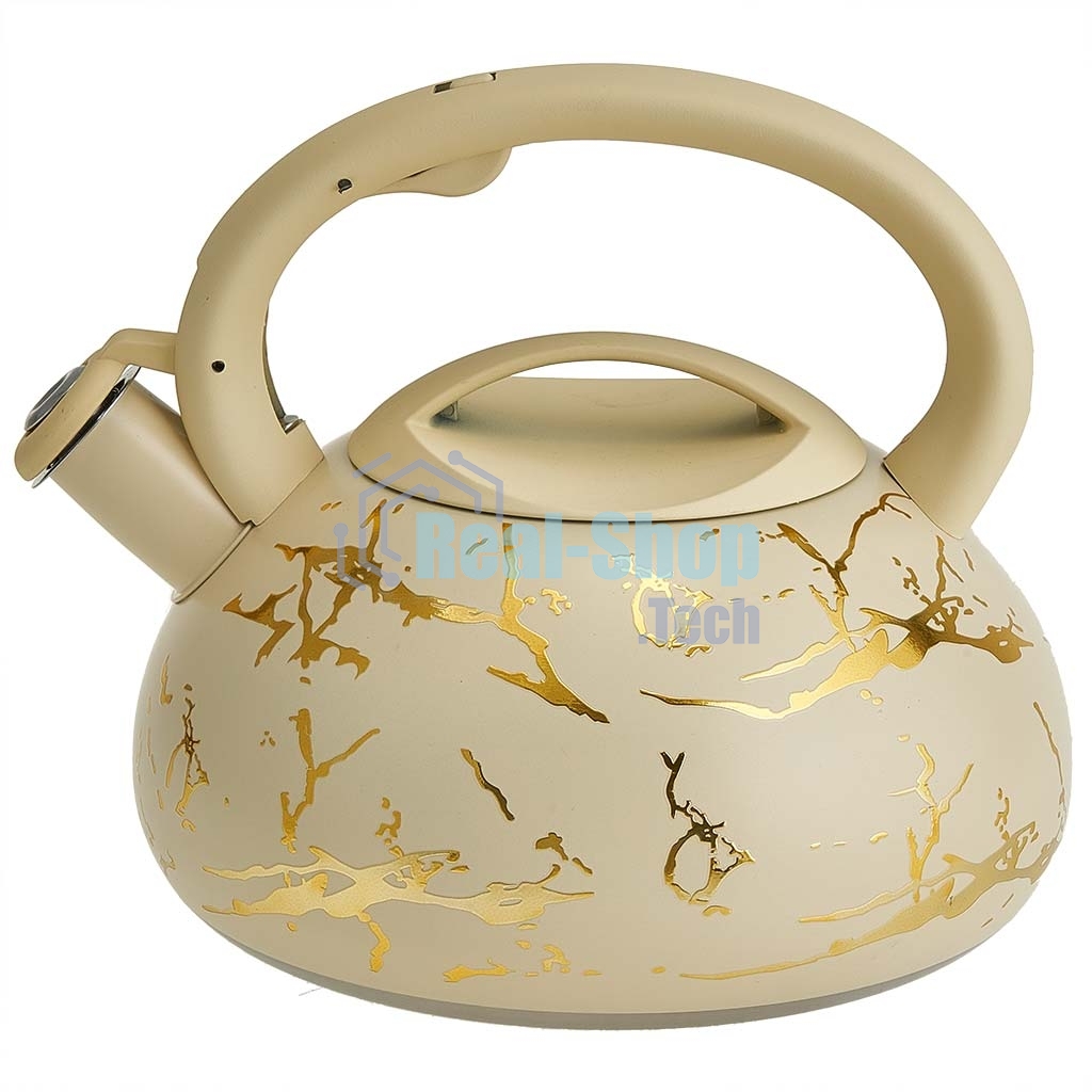 Чайник ALPENKOK AK-541 3 л