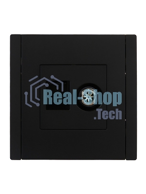 Розетка двойная TV+RJ45 кат.5E IEK FORTE&PIANO FP136 черный