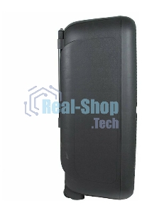 Колонка Eltronic 12