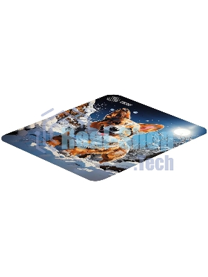 Коврик для мыши Cactus Corgi 300x250x3мм (CS-MP-D13M)