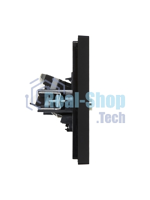 Розетка двойная TV+RJ45 кат.5E IEK FORTE&PIANO FP136 черный