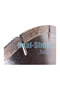 Диск алмазный отрезной сегментный Sparta 230 х 22,2 мм, сухая резка, EUROPA Standard